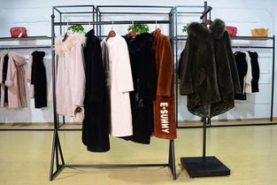 蕪湖女裝批發(fā)貨源杭州艾圣依18款折扣皮草尾貨走份